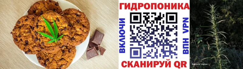 купить закладку  Жиздра  Cannafood марихуана 