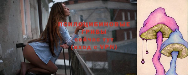 прущая мука Алзамай
