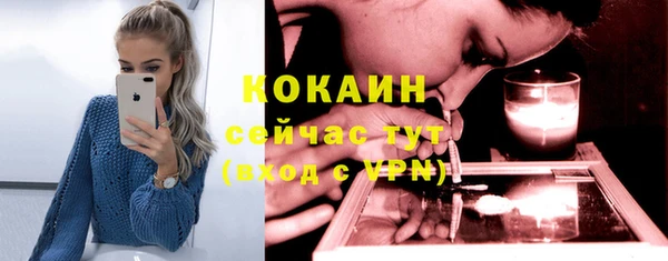 молекула духа Козельск