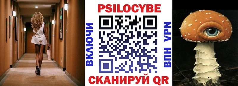 закладка  Жиздра  Галлюциногенные грибы GOLDEN TEACHER 
